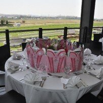 Ladies Spring Race Day