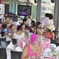 Ladies Spring Race Day